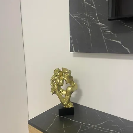 Sofi 6 * Navodari